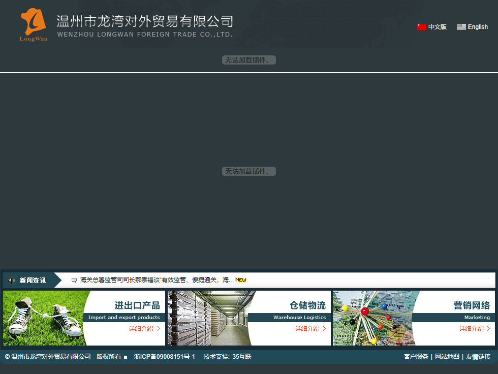 温州市龙湾对外贸易有限公司网站案例