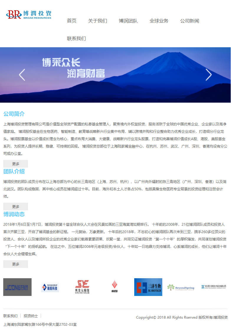 上海博润投资管理有限公司网站案例